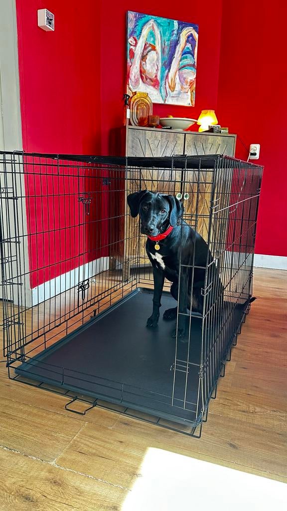 Hondenbench XXL 122x76x84cm new!!, Ophalen, Nieuw