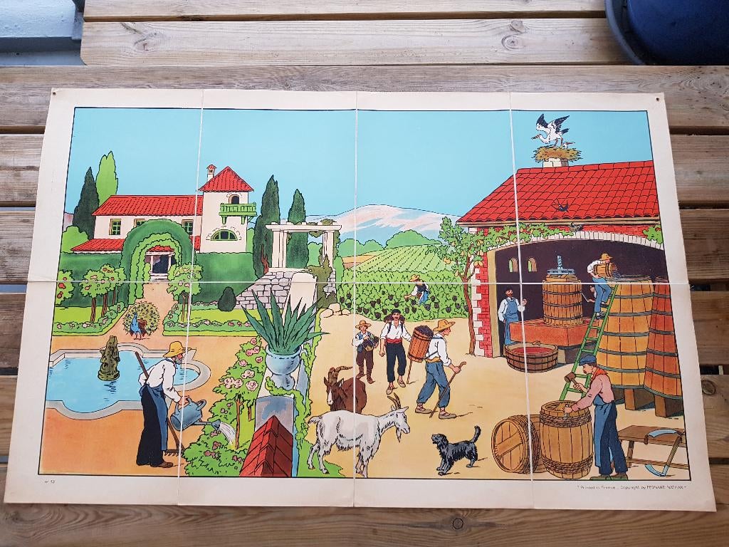 Druivenpluk oude schoolplaat uit Frankrijk litho op canvas., Antiek en Kunst, Ophalen of Verzenden