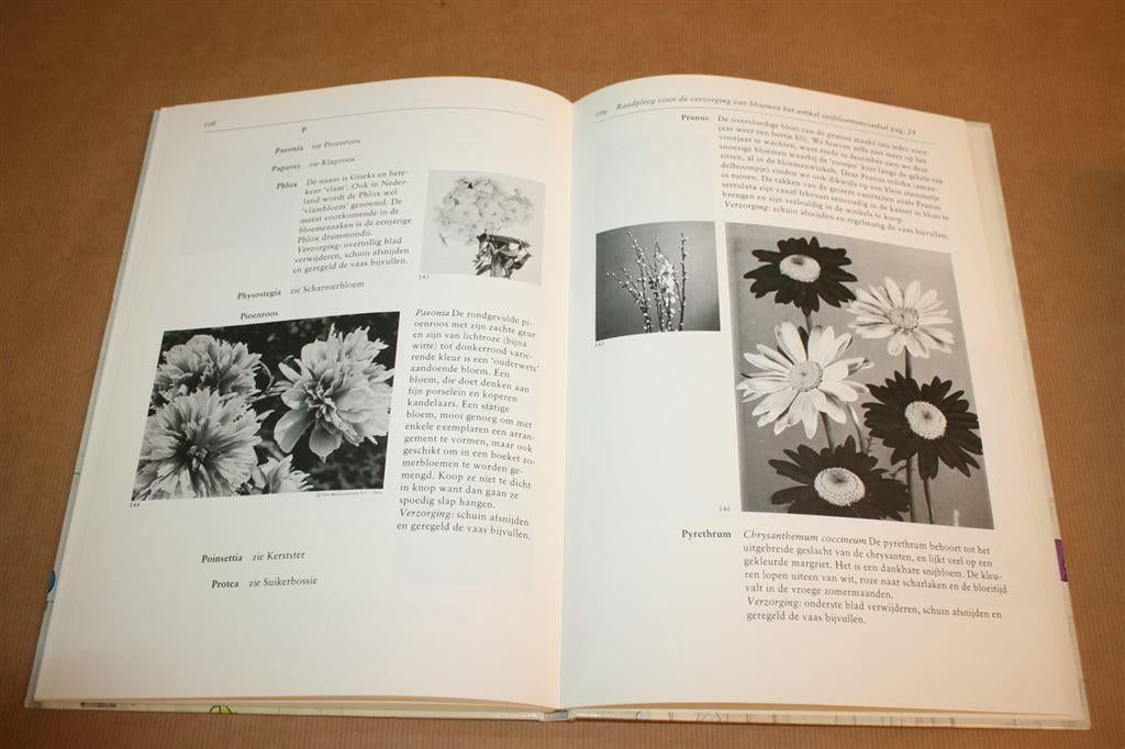 Fleur op met bloemen - Hanny Meyerink, Ophalen of Verzenden, Gelezen, Overige onderwerpen