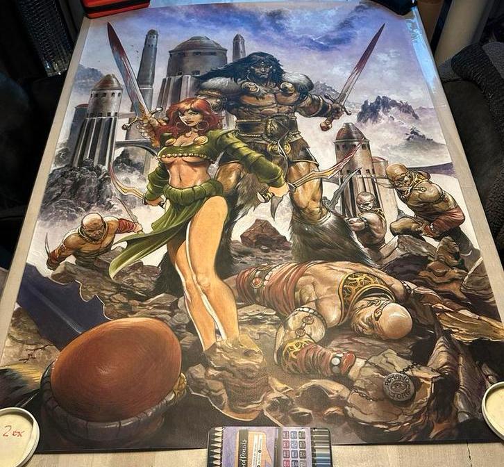 Conan de Barbaar Poster . Romano Molenaar en Jorg de Vos, Boeken, Eén comic, Ophalen of Verzenden, Zo goed als nieuw, Europa