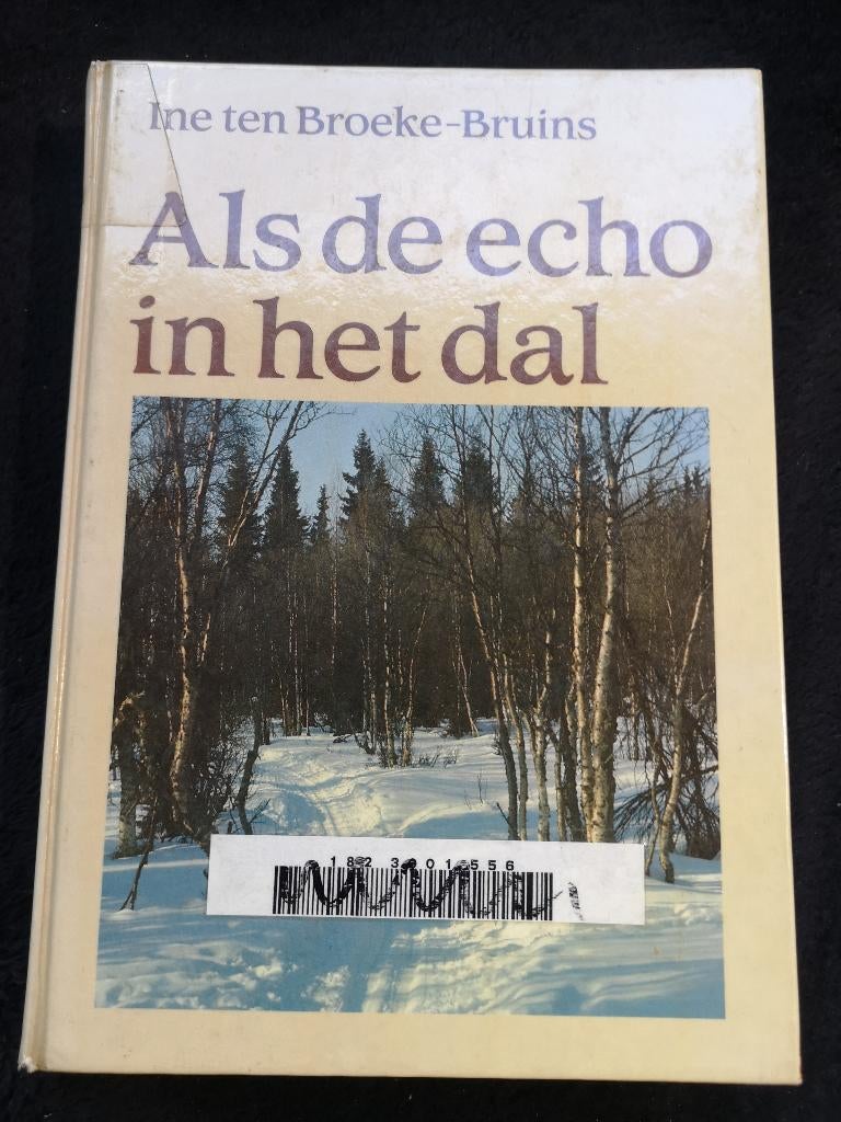 Ine ten Broeke Bruins, Als de echo in het dal, Ophalen of Verzenden, Gelezen