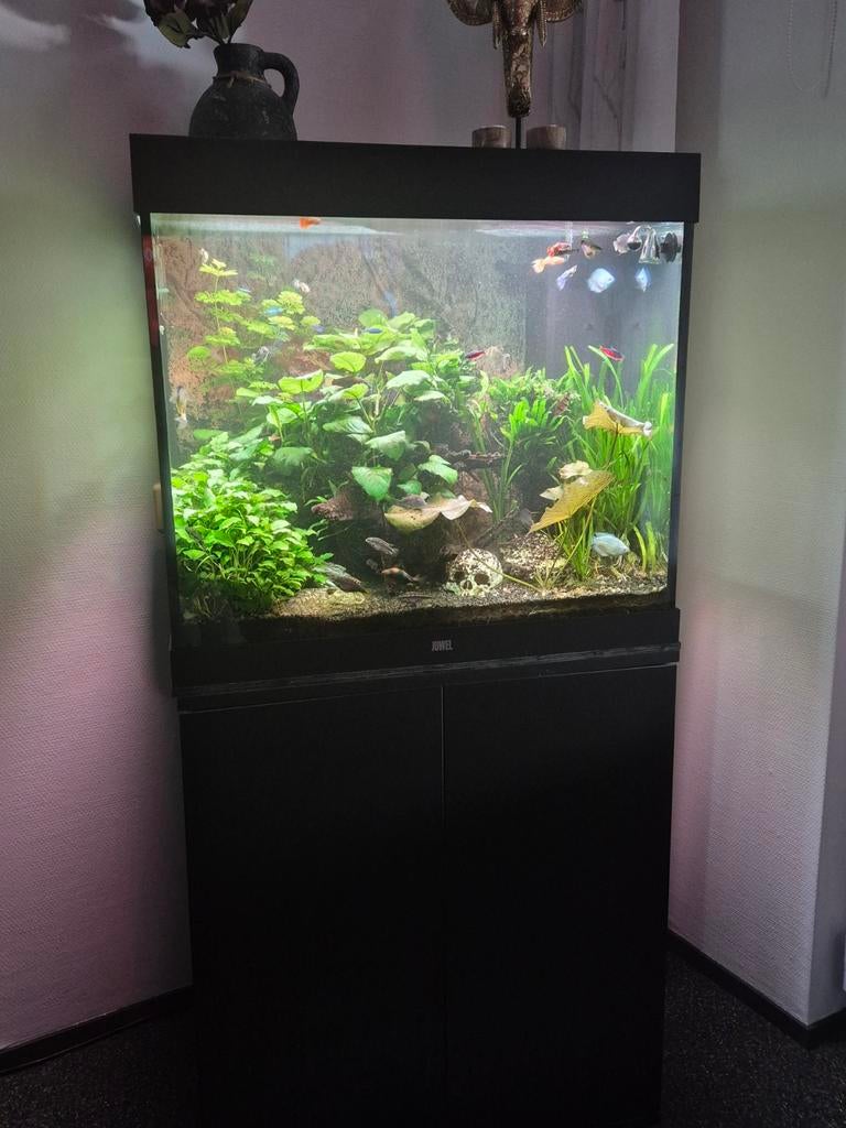 Aquarium Lido 200, Ophalen, Zo goed als nieuw