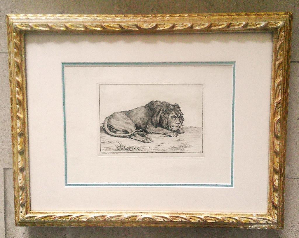 Receuïl de Lions - gravés B.Picart 1729 - w.v Rembrandt 18x, Ophalen of Verzenden