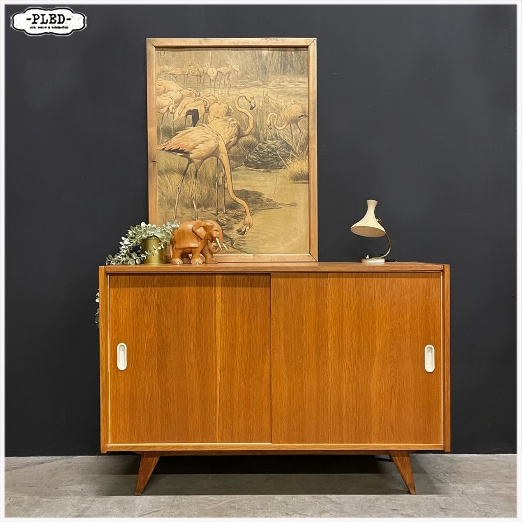 Oude schoolprent met flamingo's - met lijst- begin 20e eeuw, Ophalen, Natuur en Biologie