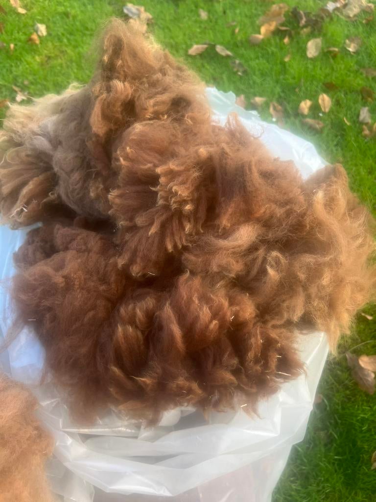 Alpaca vacht wol, Ophalen of Verzenden, Spinwol