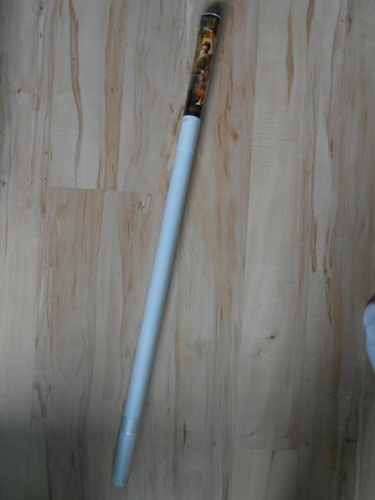 poster Indiana Jones Kingdom of the Crystal Skull, Ophalen, Rechthoekig Staand, Zo goed als nieuw, A1 t/m A3