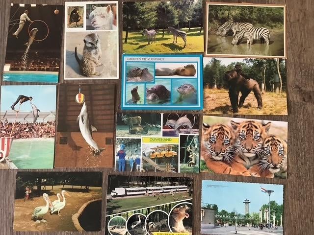 25x Dierentuin-Vogelpark-Safaripark-Wildpark-Dolfinarium enz, Verzenden, 1980 tot heden, Gelopen, Overige soorten