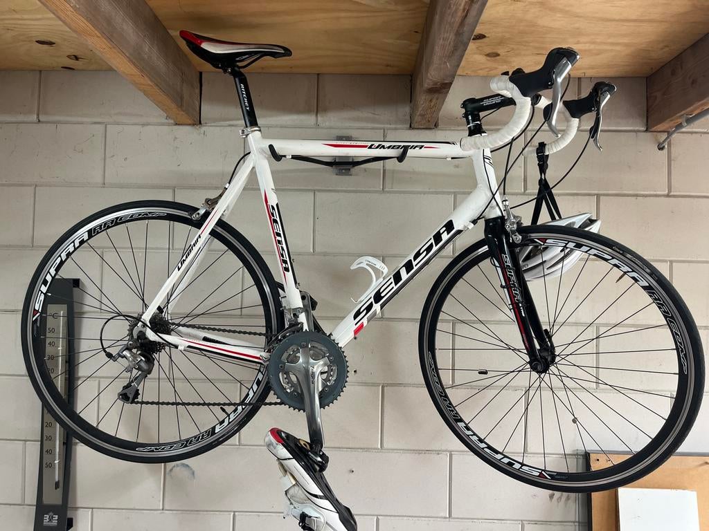 Sensa Umbria Tiagra Racefiets - Maat 62, 28 inch, Gebruikt, Heren, Aluminium