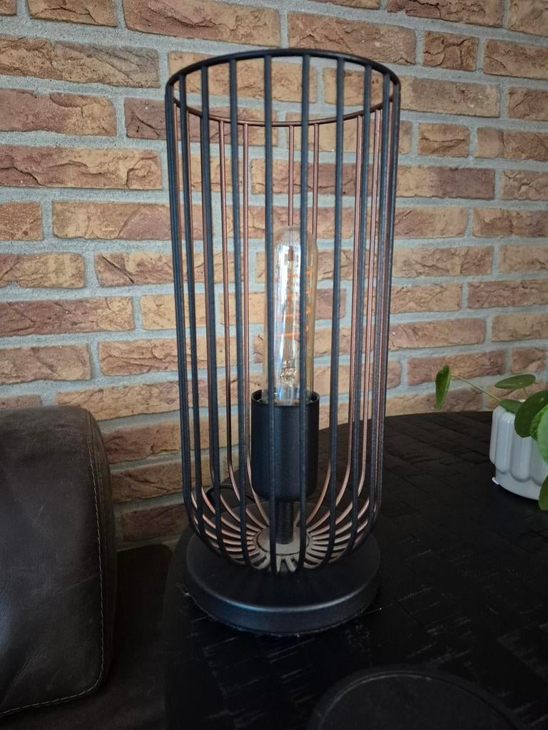 Lampen, Ophalen of Verzenden, Minder dan 50 cm