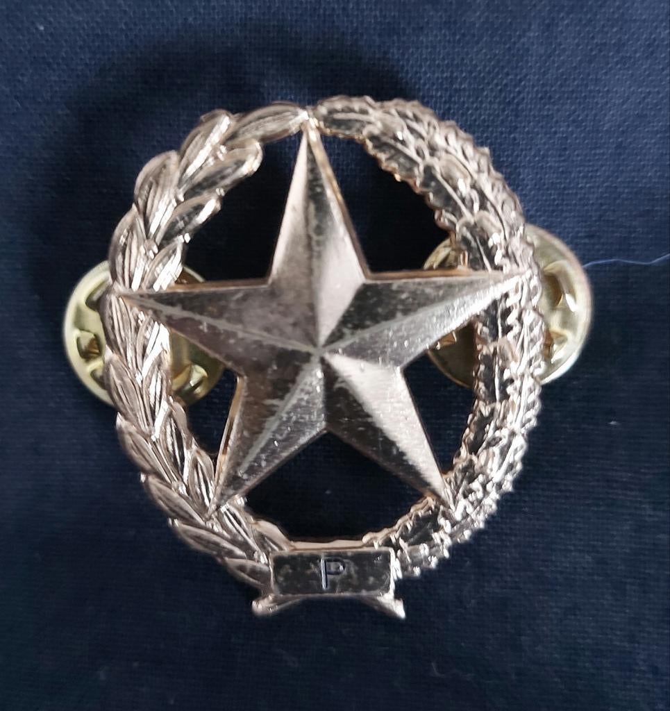 DT speld schutter 1e klas pistool, Verzamelen, Ophalen of Verzenden, Landmacht, Nederland, Embleem of Badge