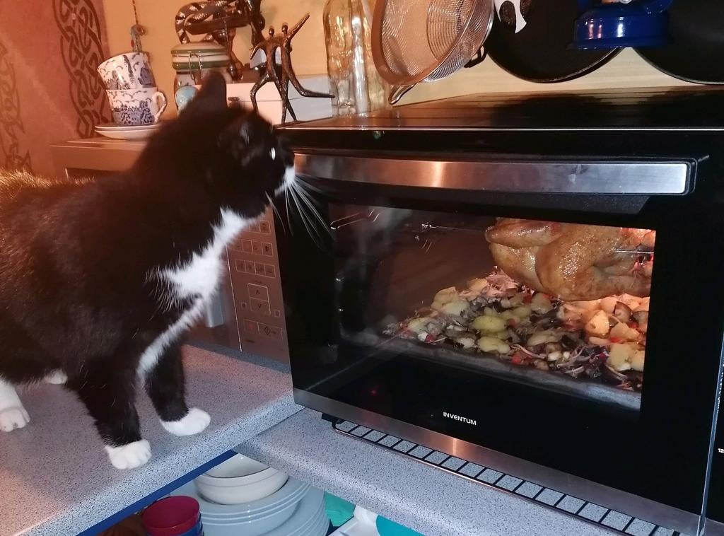 Inventum OV606CS Oven, Ophalen, Gebruikt, Hete lucht, Minder dan 45 cm