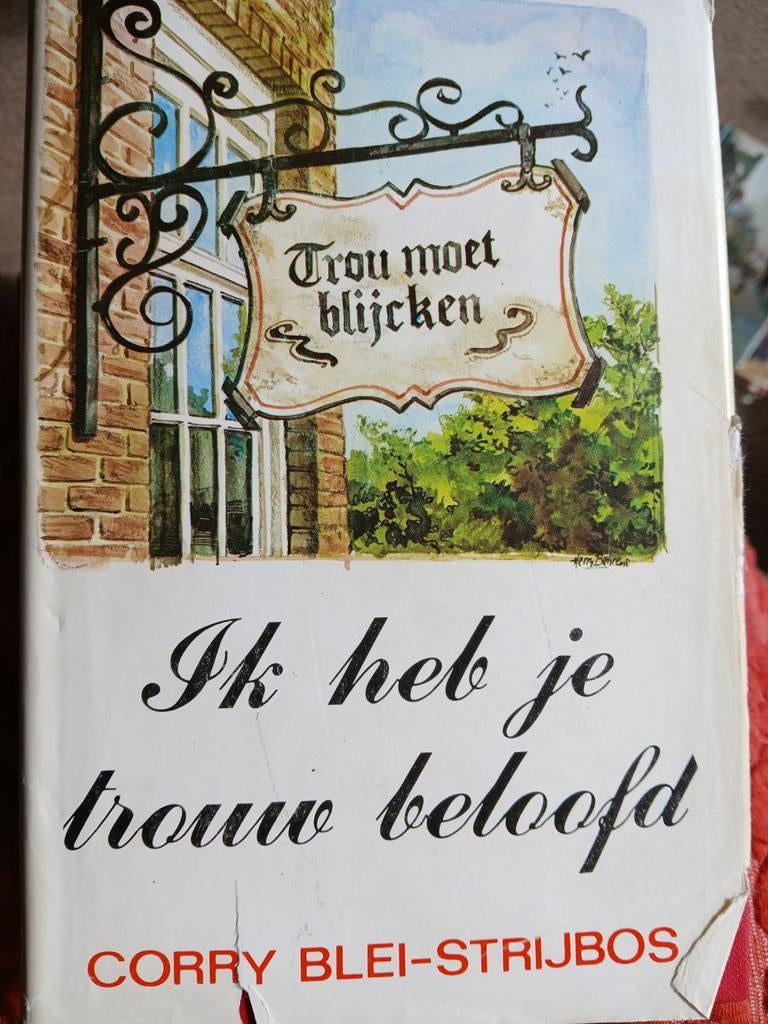Ik heb je trouw beloofd. Corry Blei Strijbosch, Ophalen, Gelezen, Noord-Brabant