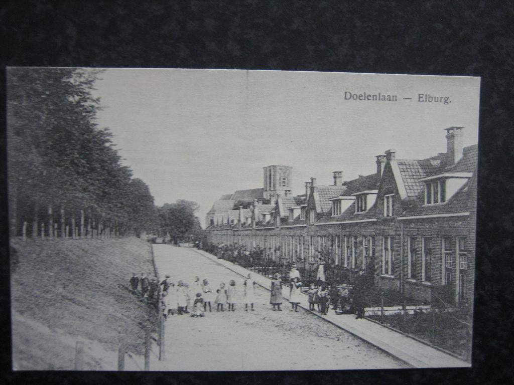ELBURG Doelenlaan uitg. Fruithuis, Verzamelen, Ansichtkaarten | Nederland, Ophalen of Verzenden, 1920 tot 1940, Gelderland