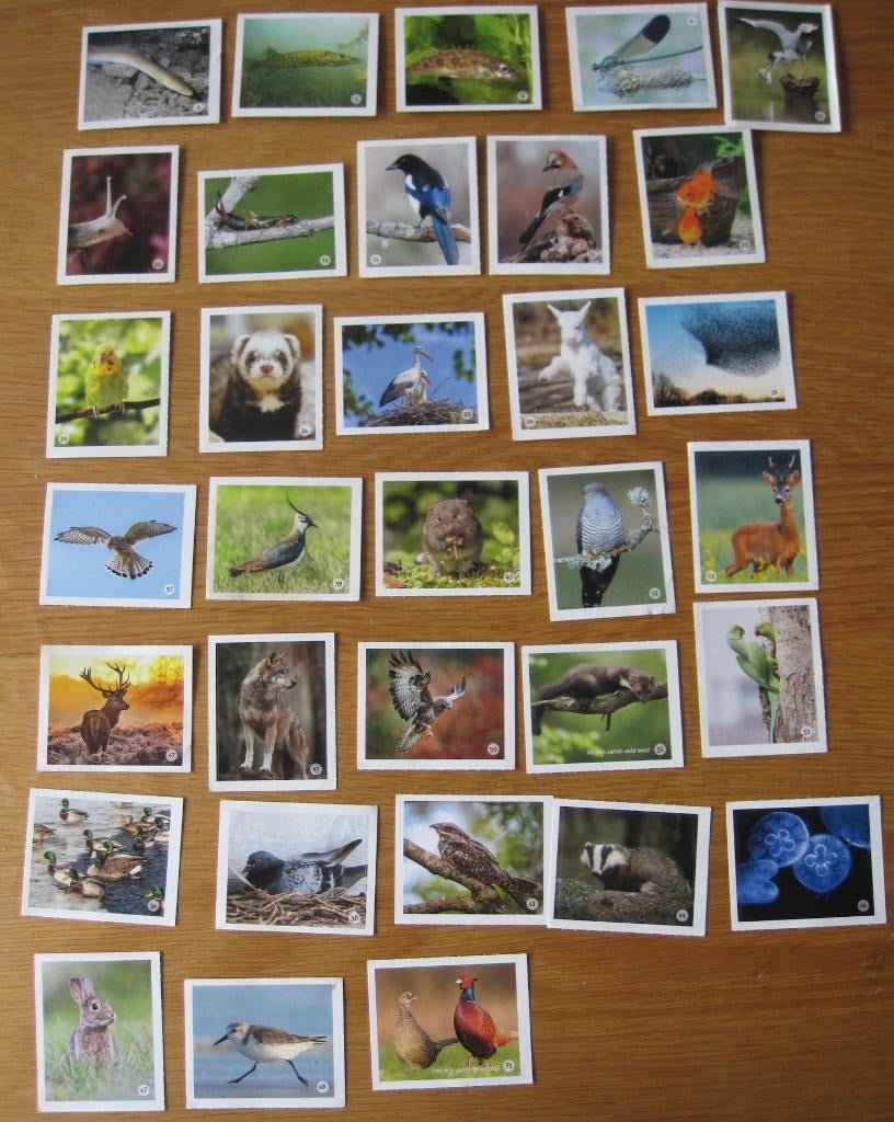 33 verschillende dieren stickers van Coop, Verzamelen, Coop, Ophalen of Verzenden