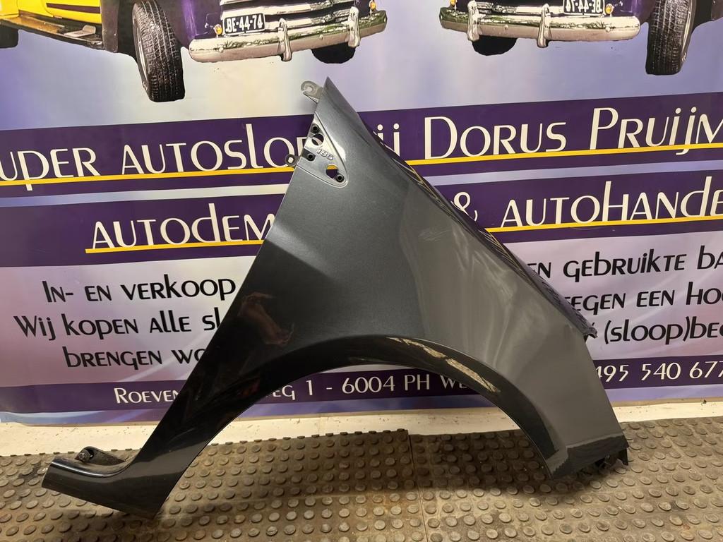 Renault Clio zijscherm rechts voor, Renault Group, Gebruikt, Contact.group@renault.com, Renault