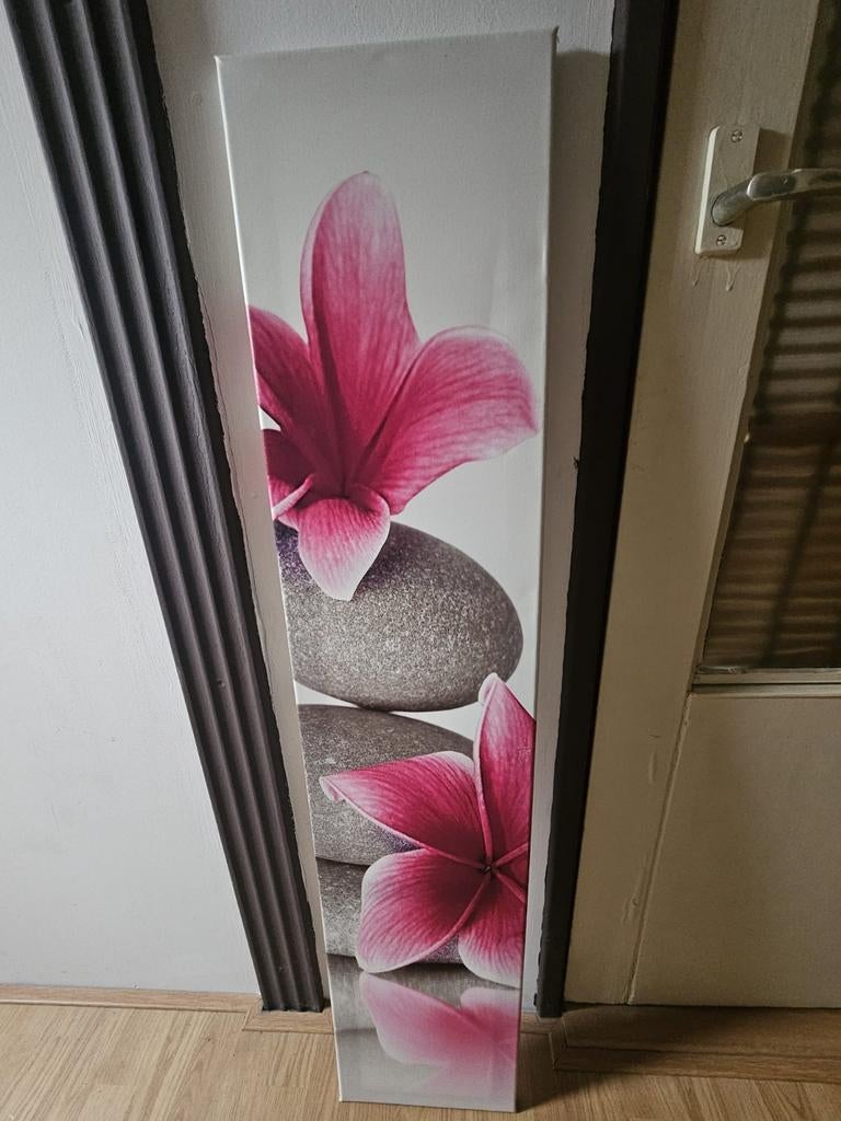 canvas schilderij, Huis en Inrichting, Woonaccessoires | Schilderijen, Tekeningen en Foto's, Ophalen, Zo goed als nieuw, Schilderij