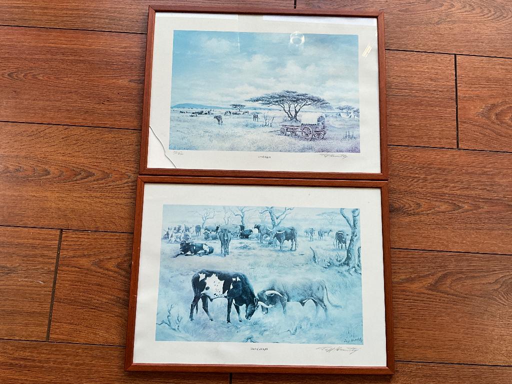 Aquarel zuid Afrika koeien, Ophalen of Verzenden