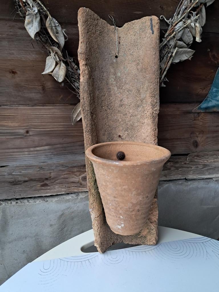 Wand bloempotten & Planten schilderijen