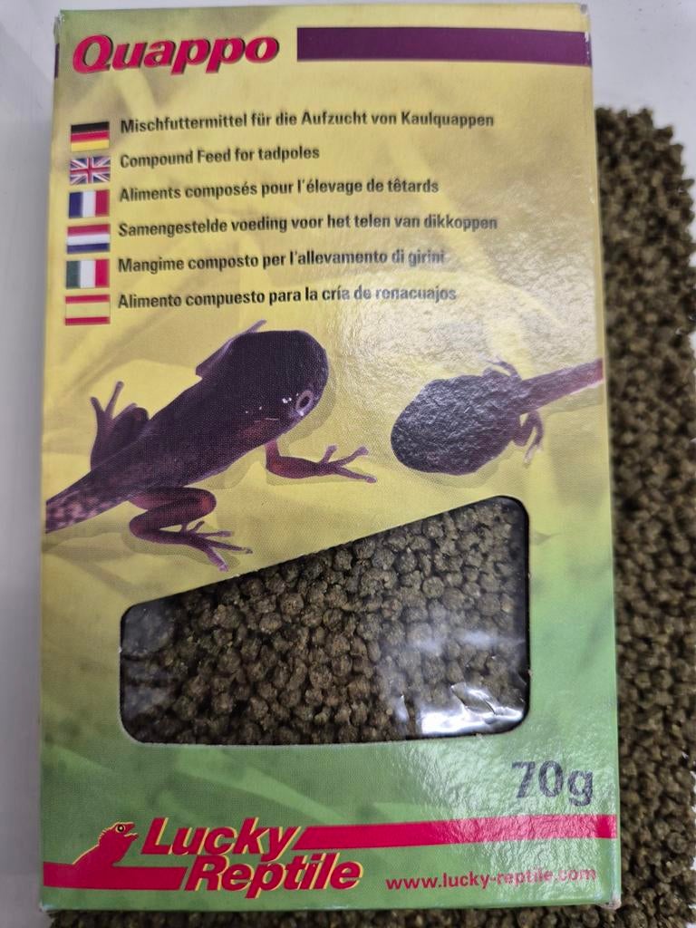 Lucky Reptile Quappo – voer voor kikkers & amfibieën, Dieren en Toebehoren, Ophalen, Nieuw, Terrarium of Paludarium