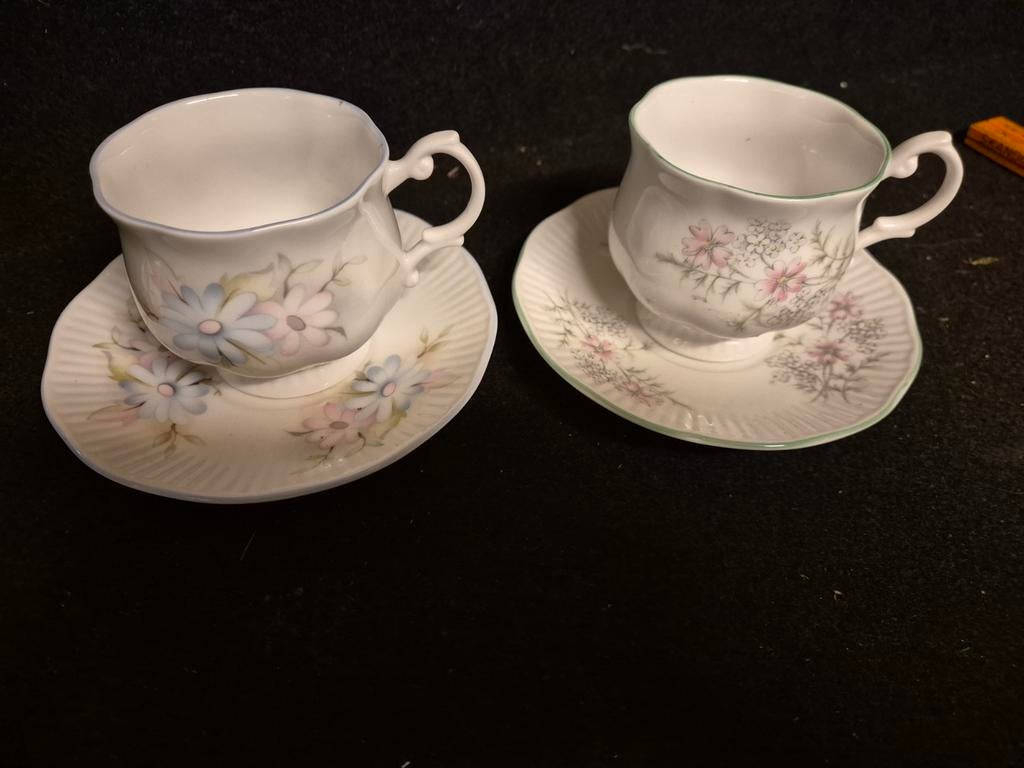 Royal Devon fine bone china porselein, Ophalen of Verzenden, Zo goed als nieuw, Porselein, Kop en/of schotel