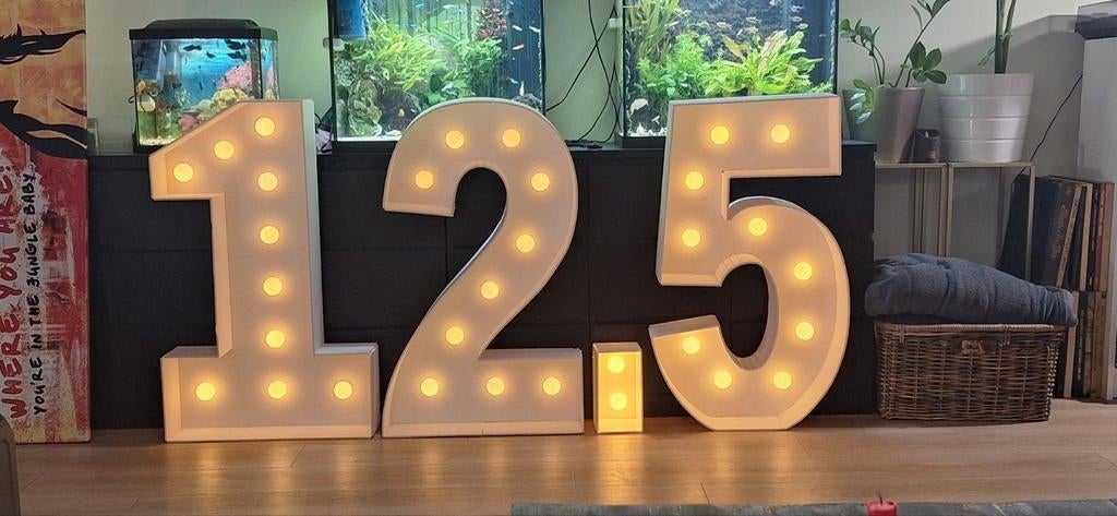 Lichtcijfers 12,5 te huur voor €60, Ophalen, Zo goed als nieuw, Geboorte of Huwelijk