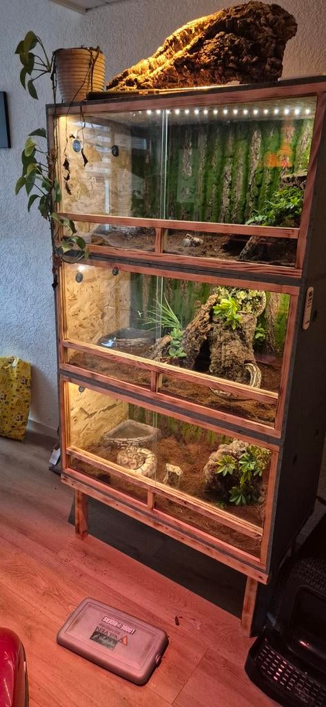 Terrarium met slangen, Dieren en Toebehoren, Reptielen en Amfibieën | Toebehoren, Ophalen