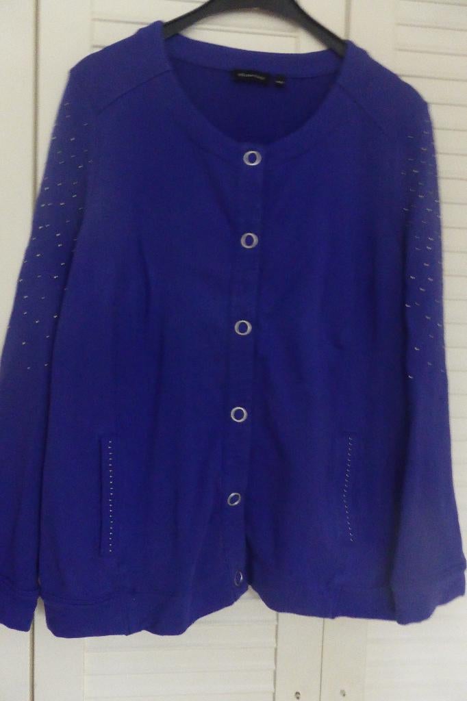 Apart vest-jasje WITTEVEEN, Blauw, Maat 42/44 (L), Ophalen of Verzenden, Zo goed als nieuw