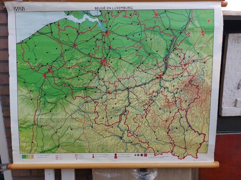 Vintage schoolplaten uit de jaren '60, Ophalen, Natuur en Biologie