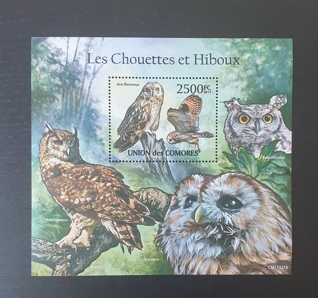 Comoren 2011 Vogels Uil Michel blok 629 postfris, Verzenden, Postfris, Dier of Natuur