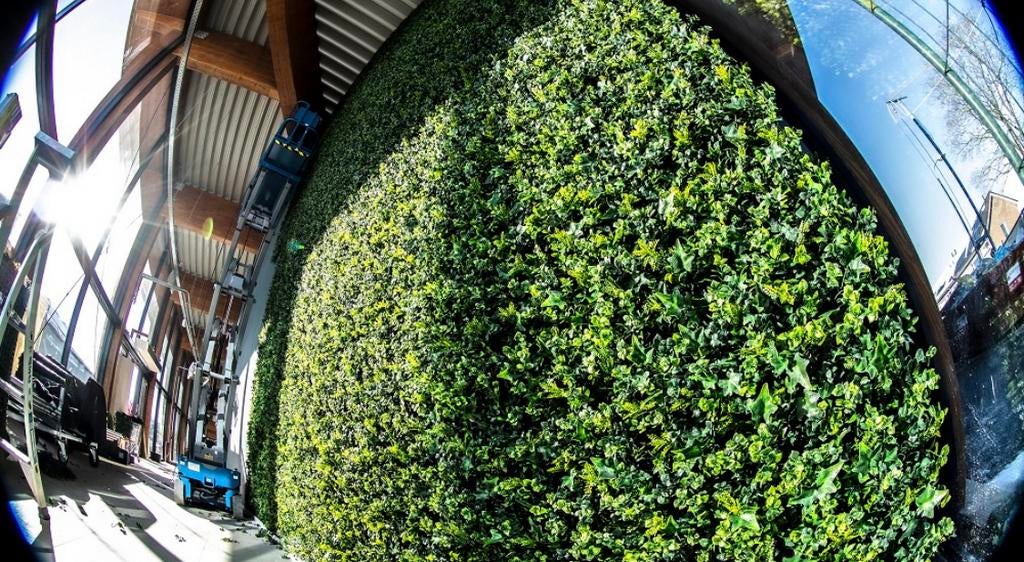 👉 Nu scherp geprijsd kunsthaag hedera new 🌿– OP = OP! 🌿, Ophalen of Verzenden, Nieuw, Minder dan 10 m²