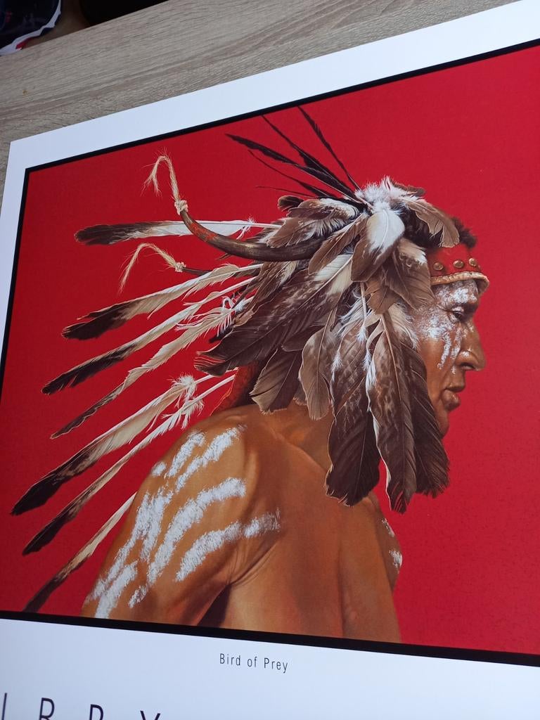 Platen Indianen., Ophalen of Verzenden