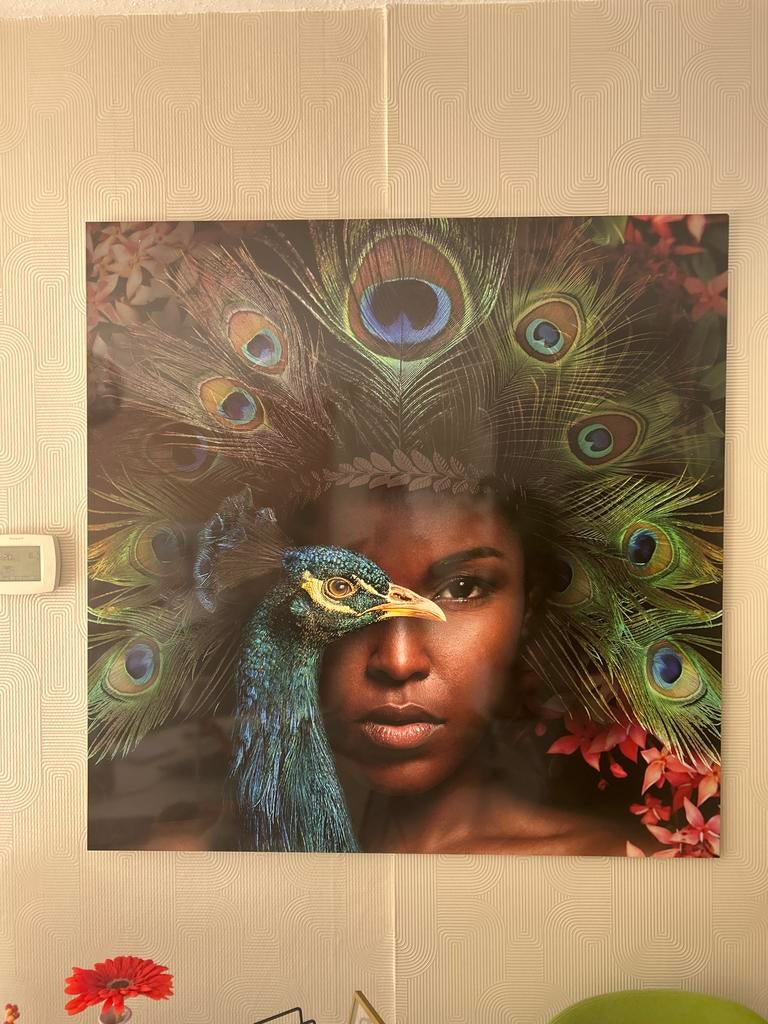 Groot schilderij foto op aluminium 120x120 - Pauw en Vrouw, Ophalen