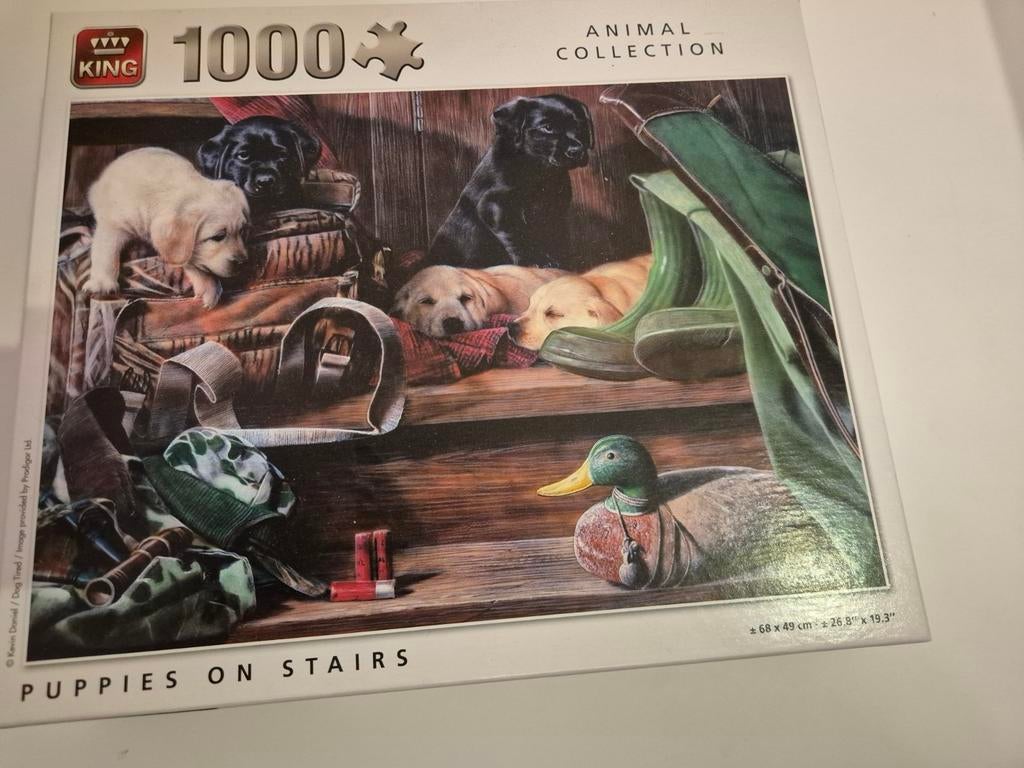 King puzzel 1000 stukjes - Puppies on Stairs, Ophalen