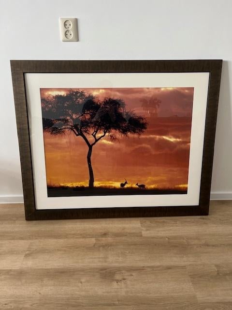 Afrikaanse vlakte, Ophalen, Zo goed als nieuw, 100 tot 125 cm, Foto of Poster