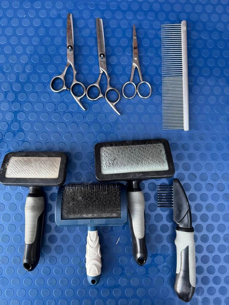 Borstels en scharen Hond, Ophalen of Verzenden, Zo goed als nieuw