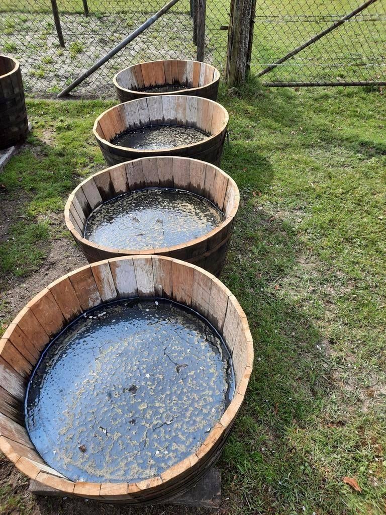 GROTE houten kuipen bloembakken dompelbad olijfboom palmboom, Ophalen, Rond, Nieuw, 60 tot 100 cm