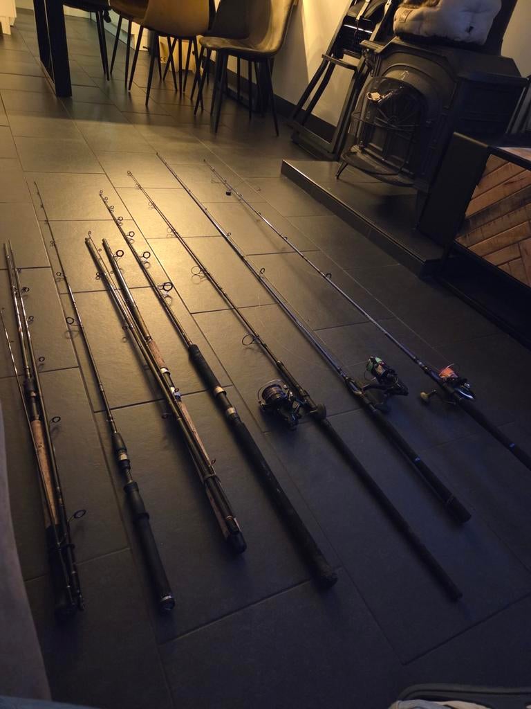 Partij vishengels te koop – los of in één koop, Ophalen of Verzenden