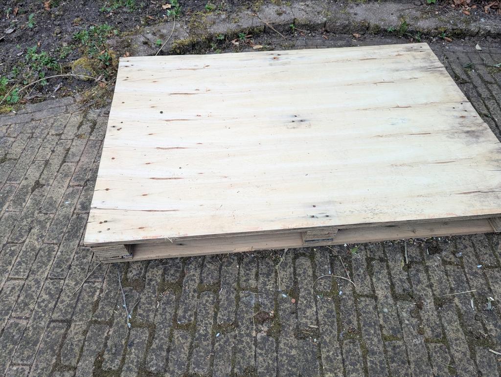 Houten Pallet -, Ophalen, Gebruikt, 50 mm of meer, Pallet