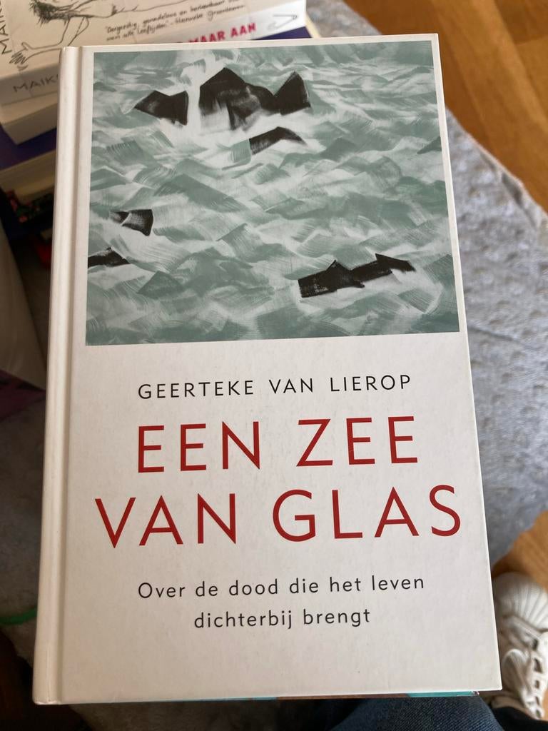 Geerteke van Lierop -Een Zee van Glas - Geerteke van Lierop, Ophalen of Verzenden, Gelezen, Nederland