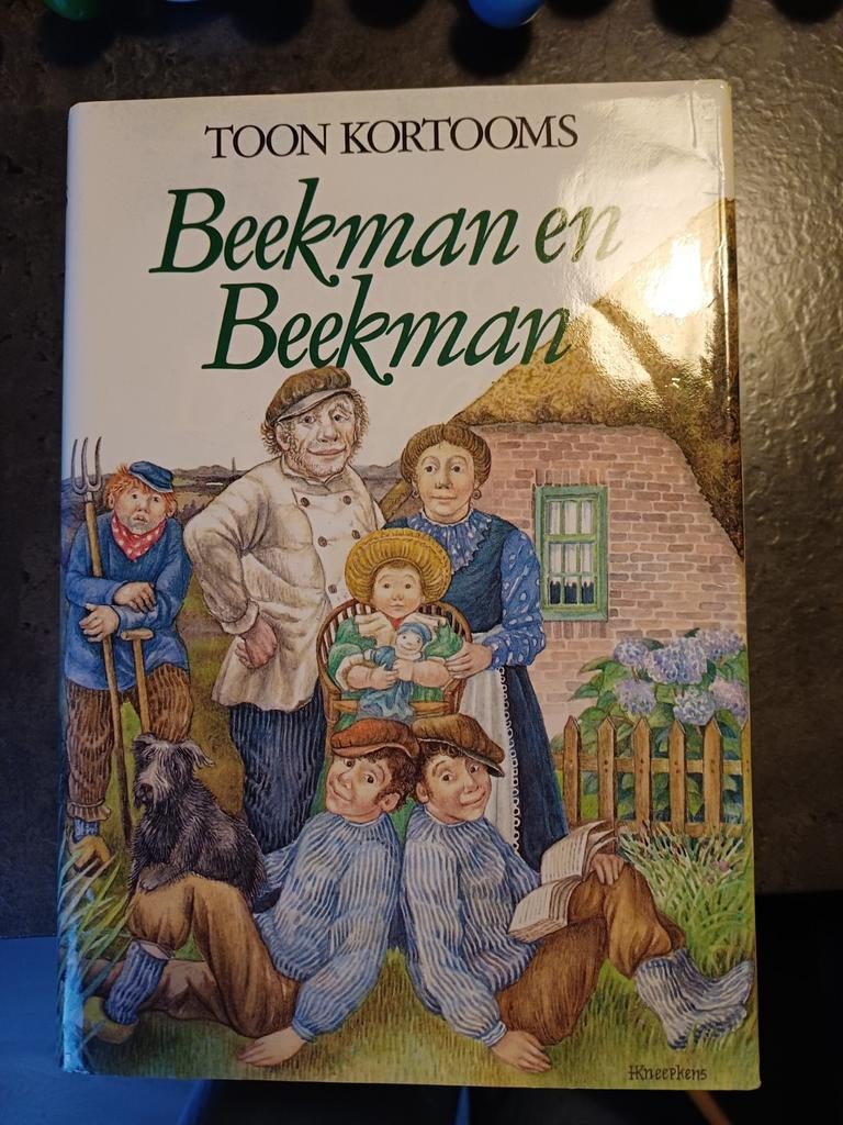 Beekman en Beekman - Toon Kortooms (Hardcover), Boeken, Ophalen of Verzenden, Gelezen, Toon Kortooms, Nederland