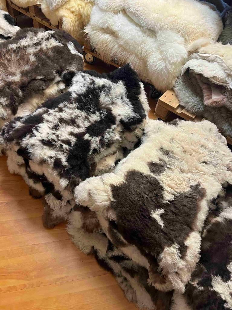 Zachte bonte schapenvacht van bergschaap, Gebruikt, 50 tot 100 cm, Etten-Leur, DJT@dejuistetoon.eu