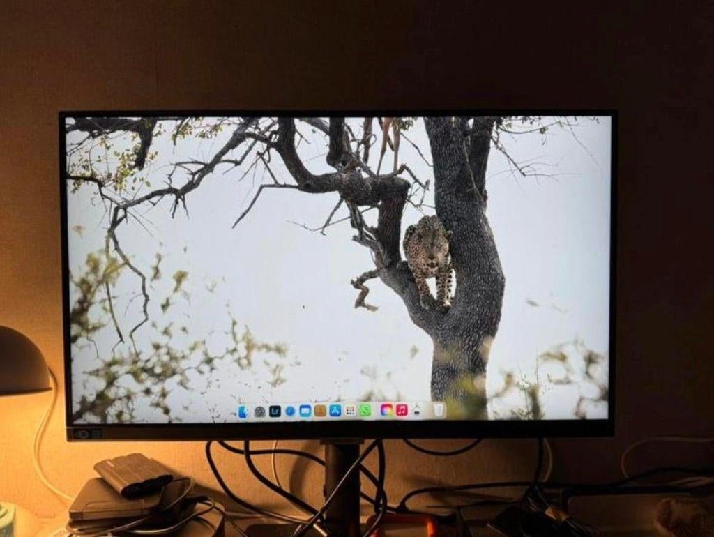 Samsung QHD monitor S 24 A600uc, Ophalen, Zo goed als nieuw, Samsung, 61 t/m 100 Hz