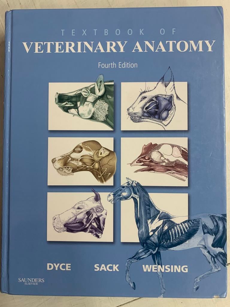 MRT TEXTBOOK OF VETERINARY ANATOMY, Ophalen of Verzenden, Gelezen