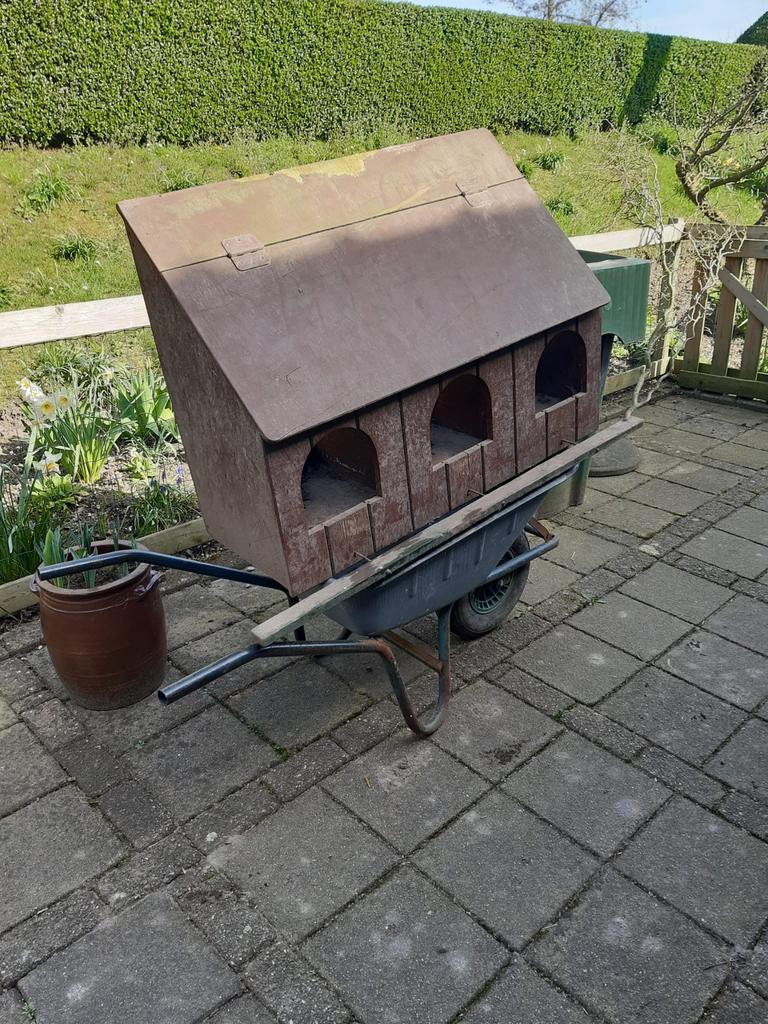 Legnest kip kippenhok van hout houten haan pluimvee nest, Ophalen, Zo goed als nieuw, Kippenhok of Kippenren