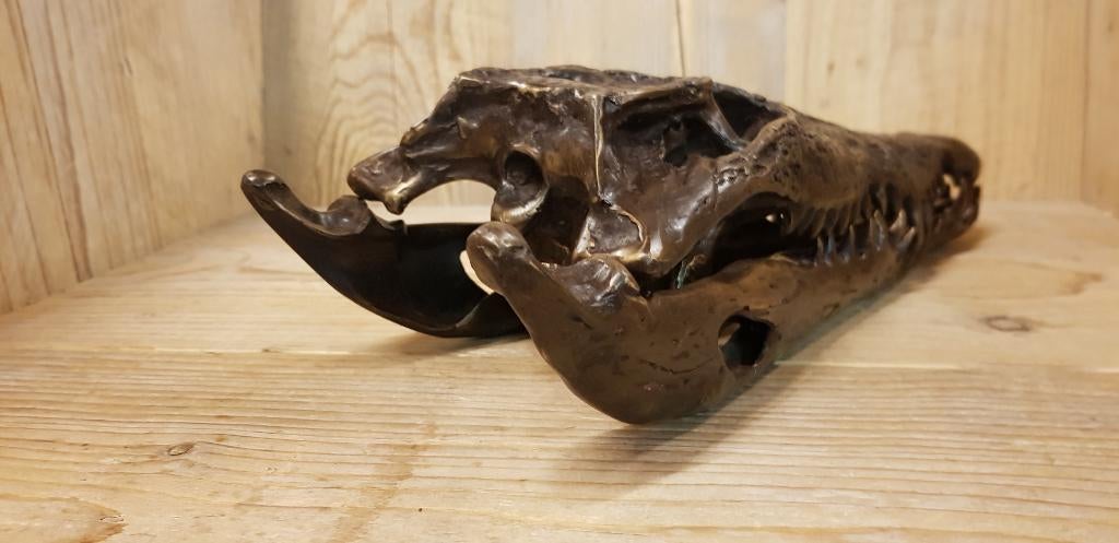 Brons / SCHEDEL van een KROKODIL / nieuw!! / OPRUIMING, Ophalen of Verzenden, Nieuw, Wild dier, Schedel