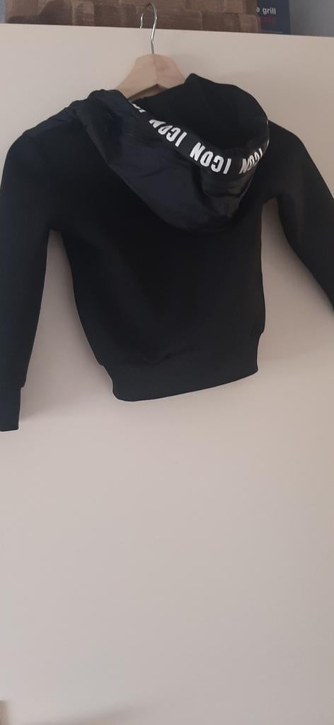 Icon vestje, Gebruikt, Icon, Trui of Vest, Ophalen of Verzenden