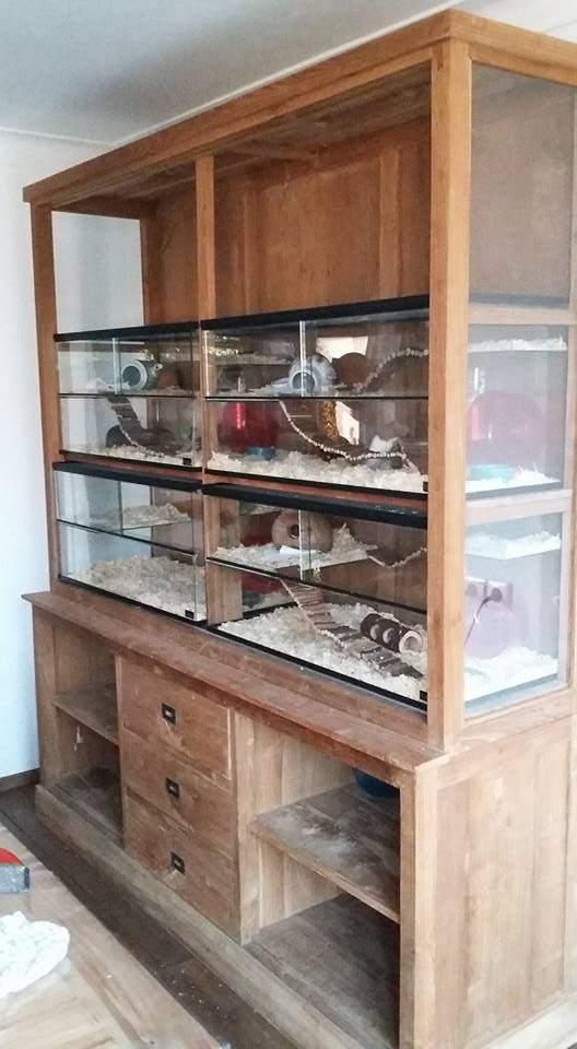 Terrarium hamster glas ruime hamsterkooi, Dieren en Toebehoren, Minder dan 60 cm, Nieuw, Ophalen of Verzenden, 75 tot 110 cm
