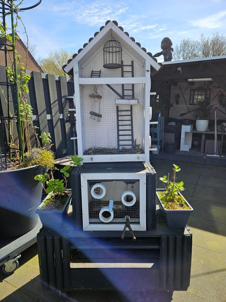 Voederhuis voor vogels van hout, Ophalen, Gebruikt, Hout, Vogelkooi