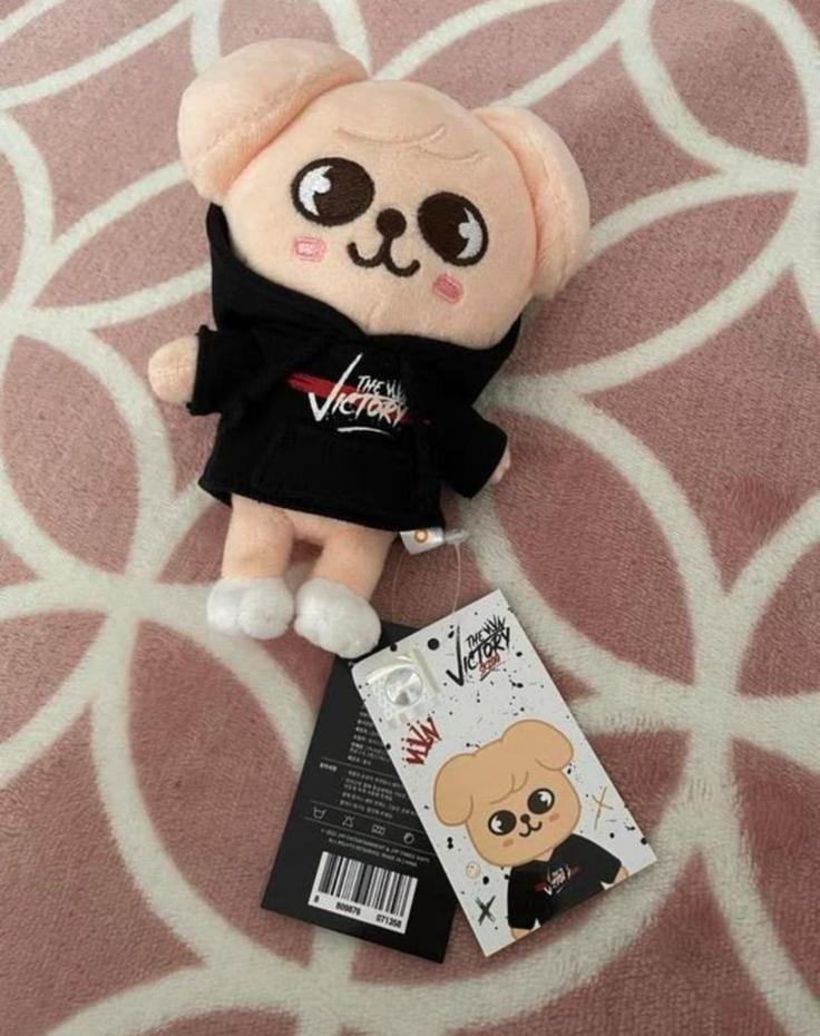 Stray Kids SKZOO PuppyM mini plush, Kinderen en Baby's, Speelgoed | Knuffels en Pluche, Ophalen of Verzenden, Nieuw, Overige typen