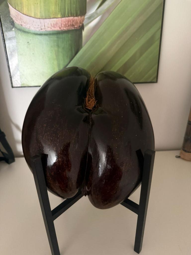 Decoratieve Coco de Mer, Huis en Inrichting, Ophalen of Verzenden, Zo goed als nieuw